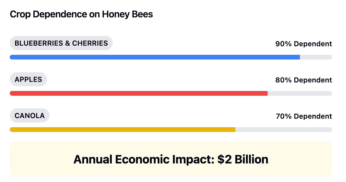 crops depend on honey bee