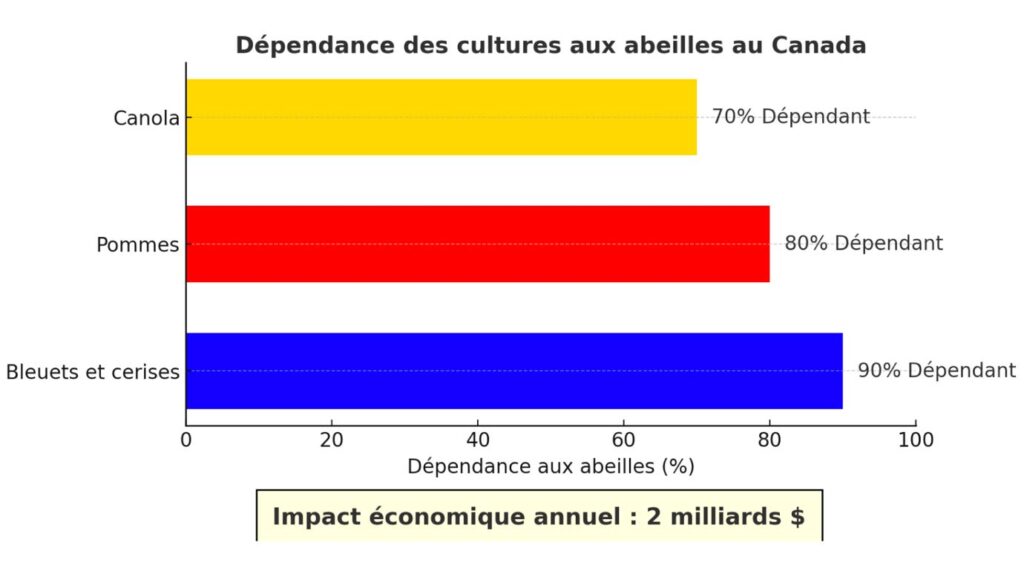 pollinisation par les abeilles mellifères